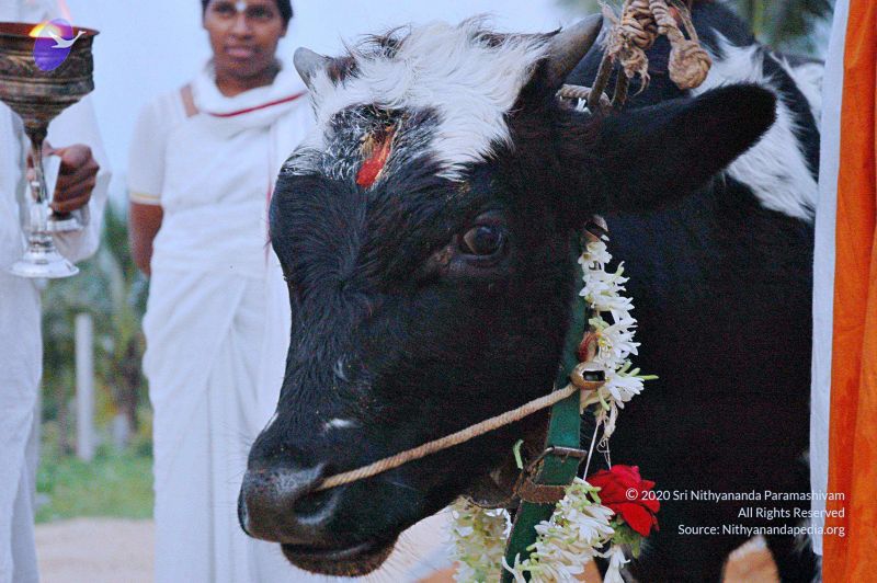 File:20071008 Photo 24 1 TPlFkmUFze H2N50OCbBGD9dpU7W1BN.jpg