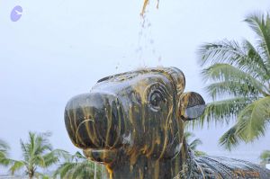 20071008 Photo 250 12Z074e6bfmII8ulhRZ1S5W4iFNIG clK.jpg