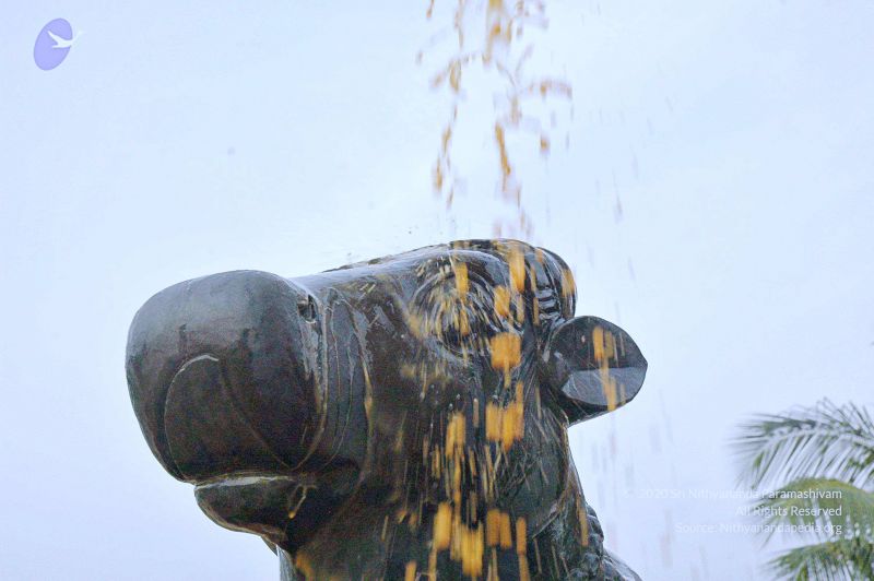 File:20071008 Photo 251 1SK1jbembIeDGKxHZma5QOiLpoB9NF-l5.jpg