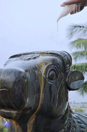 20071008 Photo 252 145iqgUYGBMSfagC3wJmI5ZoD KEetdG9.jpg