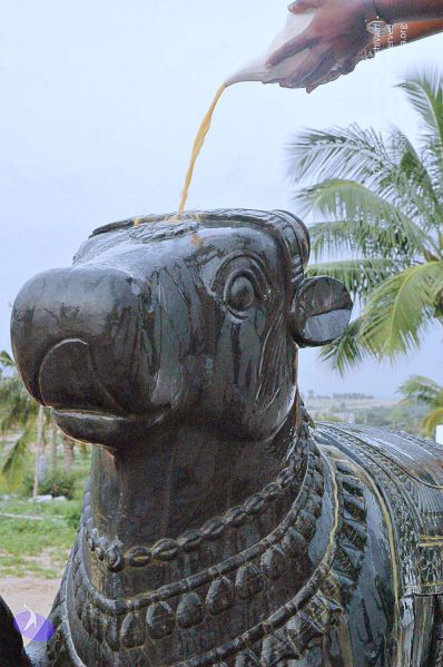 File:20071008 Photo 254 1sOuvR 6BG PKzFlJBGY7MCWxgO2vHgOo.jpg