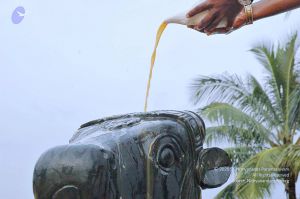 20071008 Photo 255 1j- rMACViX5t4k-uK9Y586-kFbo5yEBO.jpg