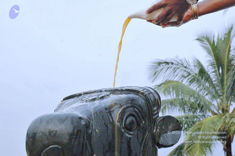 File:20071008 Photo 255 1j- rMACViX5t4k-uK9Y586-kFbo5yEBO.jpg