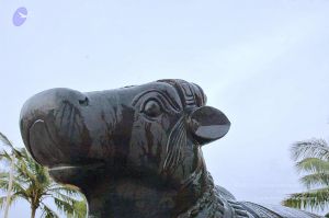 20071008 Photo 257 14XzH8HY TYzBiWotrCOdNooJLBVx76xw.jpg