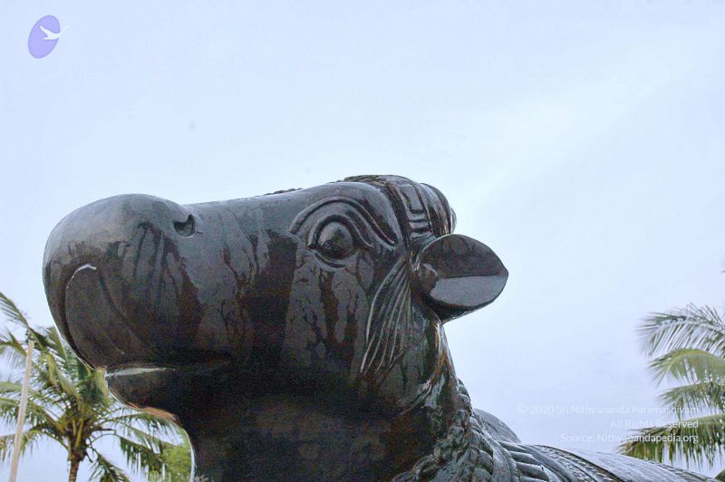 File:20071008 Photo 257 14XzH8HY TYzBiWotrCOdNooJLBVx76xw.jpg