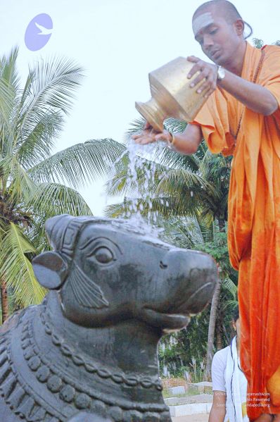 File:20071008 Photo 259 1bZhyuG2BBLX54X8SbjXfyscGK3GezUg8.jpg