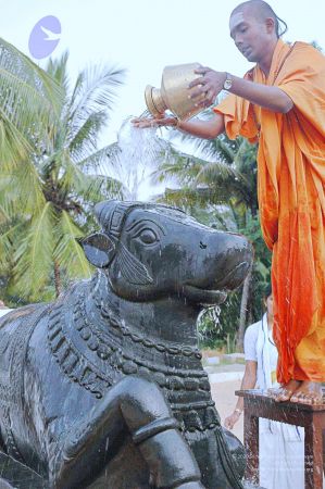 20071008 Photo 260 1K5gkRjL0RLHi7szXN89ojB45b47zylis.jpg