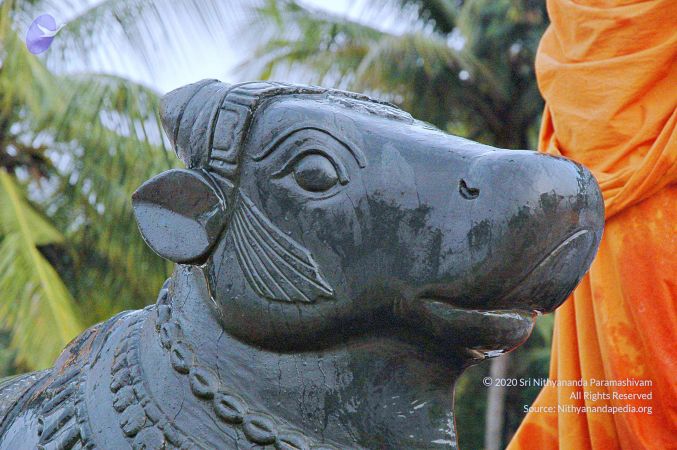 20071008 Photo 262 17kQ7PITpHYKaDJ5ONGiwzDpSvM5nrADX.jpg