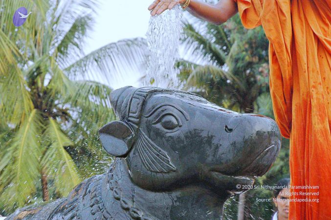 20071008 Photo 263 1C-Gq49kn-RhuSW-4YcQ2Gju4iGdkxuQz.jpg