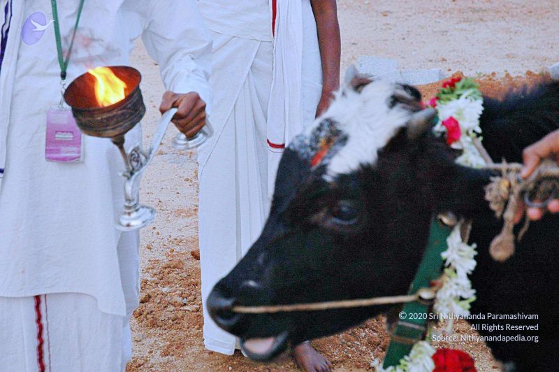 File:20071008 Photo 26 1UCJT6jXGG814N7cR-tw1Ras86yb MDZI.jpg