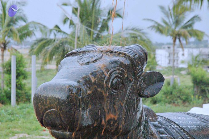 20071008 Photo 276 1OWgFyVnTSwWTB79xVv7YrovUH14P51KH.jpg