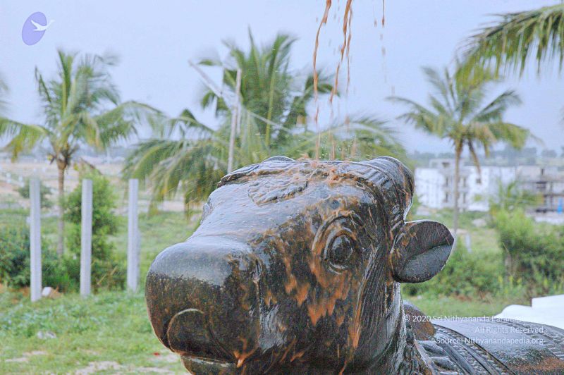 File:20071008 Photo 277 1 9AQalt7-74JUJjIXFCSXGeF4gPZV4UJ.jpg