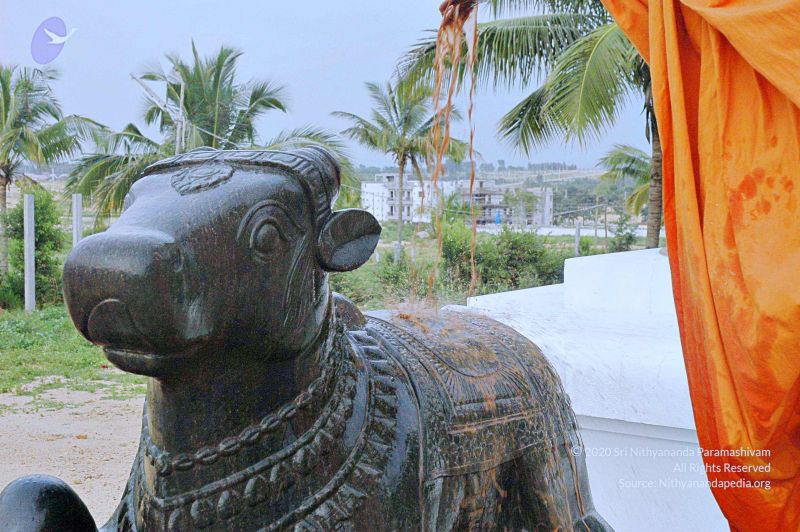 File:20071008 Photo 278 1YuFadwHWVrE8FDkL4kz4ioXmdVM5cSQs.jpg