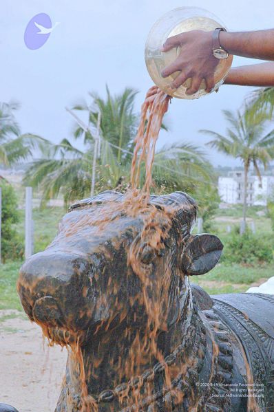 File:20071008 Photo 279 1SpGHHIbmJAc00O5KiPQecFGF5taCtSw6.jpg