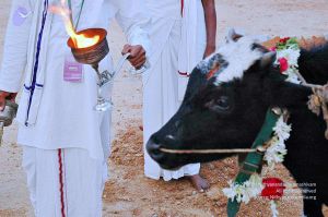 20071008 Photo 27 1-tICX73hHipX-vsEpETaSd-XvTd9I8Nc.jpg