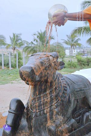 20071008 Photo 280 1Dan3B-v8an7dTFqnvvnTH421zAhq nk7.jpg