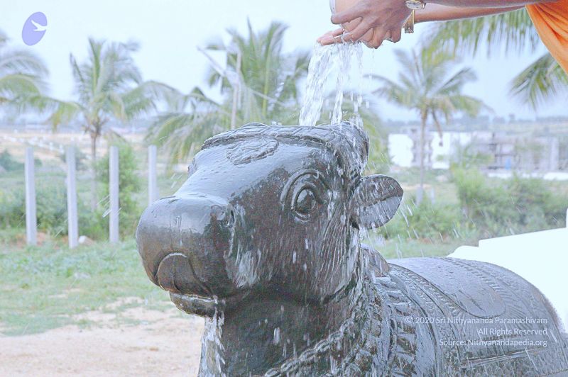 File:20071008 Photo 282 1yKDQdOsVMdMRtsUO5nTc4tCyg9Q9yRO .jpg