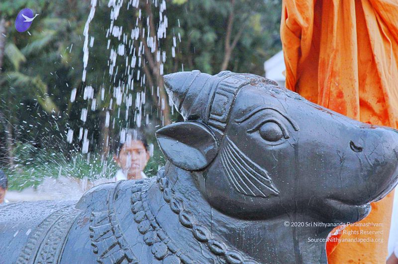 File:20071008 Photo 283 1lXkps rlAaZOXuB3 0uvkFV8HvfPQxB5.jpg