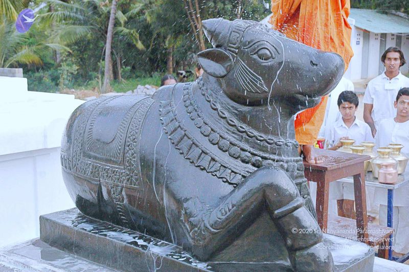 File:20071008 Photo 291 1XafwvDk6CA0QeQqBPjocVuICQnbWCpSb.jpg