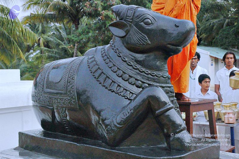 File:20071008 Photo 293 1Fy4mIRibqlhkmqEycMduz9XzbL9SVoVb.jpg