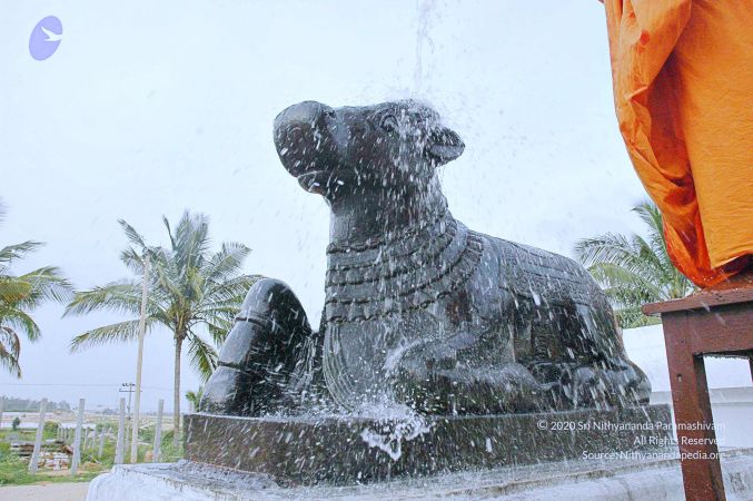 20071008 Photo 296 1v3L85qPoCobup2HNBb4lG-tCVKtnX5Xf.jpg