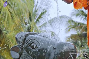 20071008 Photo 299 1f5L4PyEbDXRpxPjhEZQtuT4aRNvkJrtJ.jpg