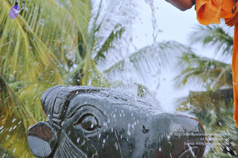 File:20071008 Photo 299 1f5L4PyEbDXRpxPjhEZQtuT4aRNvkJrtJ.jpg