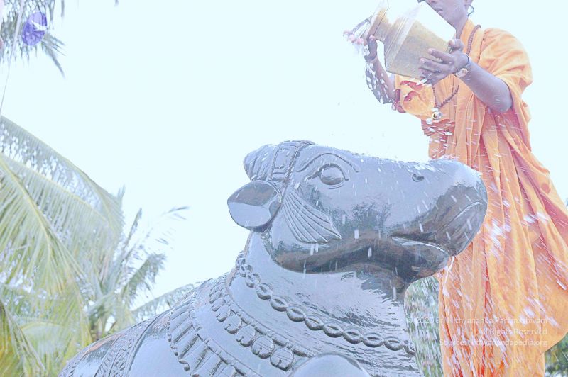 File:20071008 Photo 302 184UU5MfY0WNVLqquih3KXNXvuhAE0m62.jpg