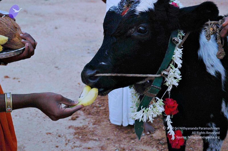 File:20071008 Photo 30 1wjA 3J928e9bmynaa3tZeAbdni8Y2WDk.jpg