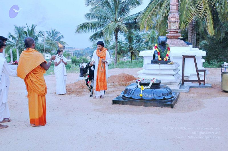 File:20071008 Photo 37 1hOlWUOw CBvyrXav7YQGqcm84YsGZUtS.jpg