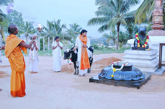 20071008 Photo 46 1JMPmpdQ4Df4FcKDC1X0Wf7iYZ1rkRqwb.jpg