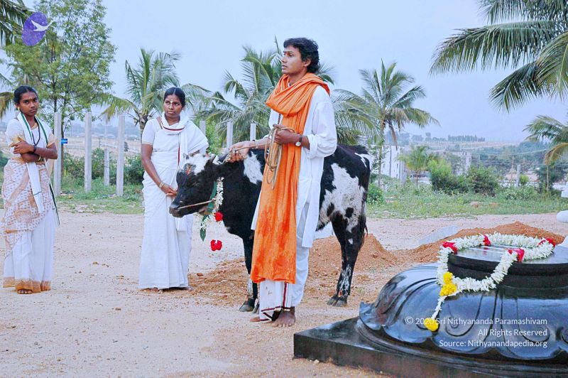 File:20071008 Photo 48 1DRR6k-LyCGNRp2uOZHgFzeZnoUOscksW.jpg