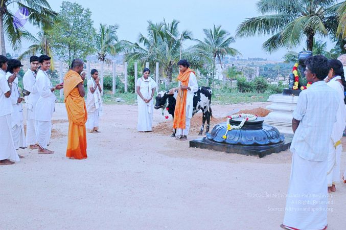 20071008 Photo 49 1zgsTNRNKM20ty0xfMS394DyPjlTJL6mx.jpg