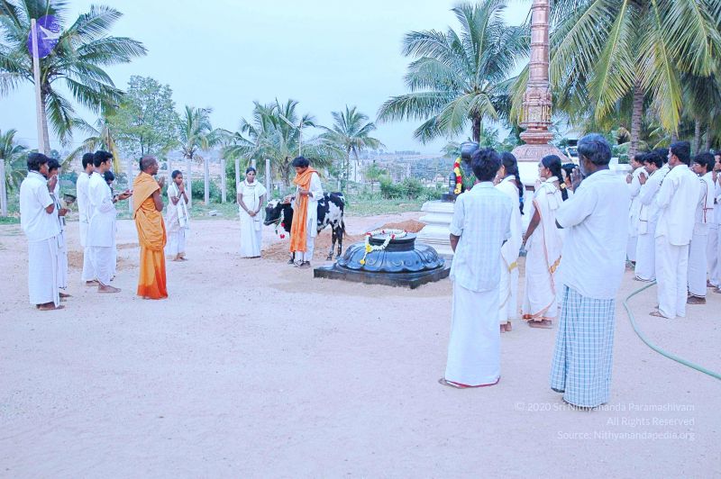 File:20071008 Photo 51 1GfAih21OjPEihfM9RC-aRa5wCftk7sDH.jpg