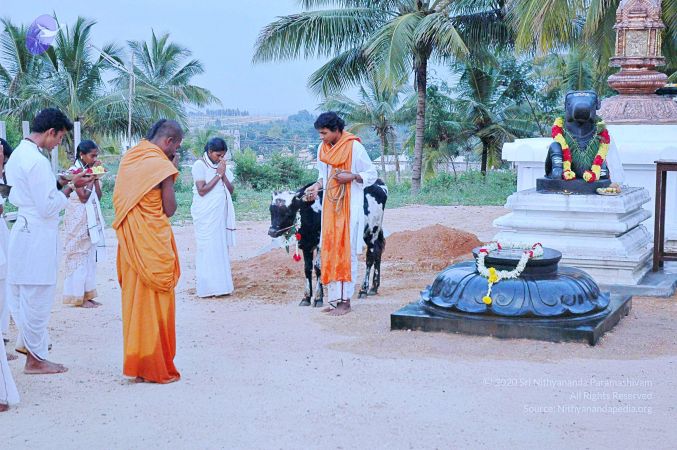 20071008 Photo 52 1pHRch KUMR9Qt9eU2TnuzAJn4lTHjXf.jpg