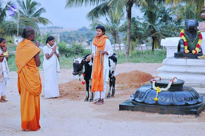 20071008 Photo 53 1t3a3u4h2VwY0FTEUqNuzxs7QSWOWb3Zw.jpg