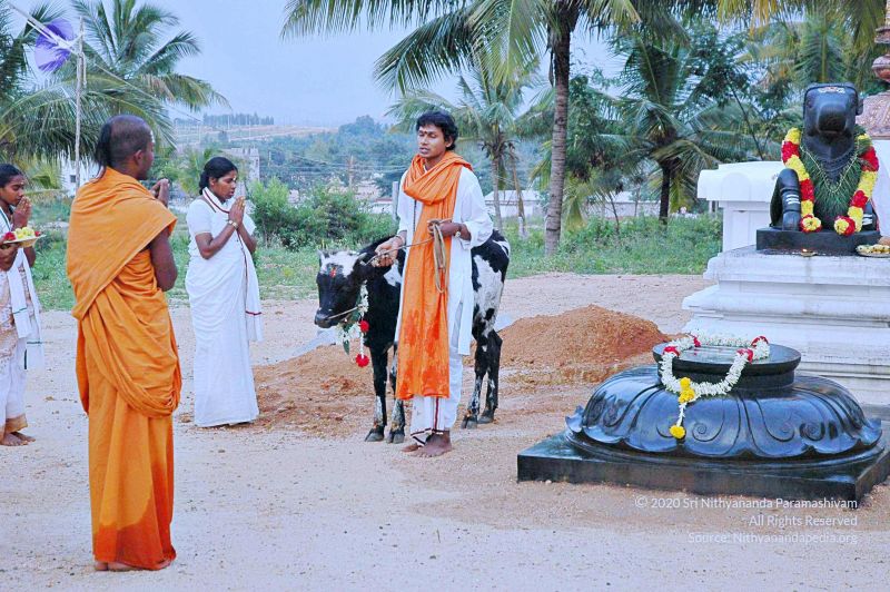 File:20071008 Photo 53 1t3a3u4h2VwY0FTEUqNuzxs7QSWOWb3Zw.jpg