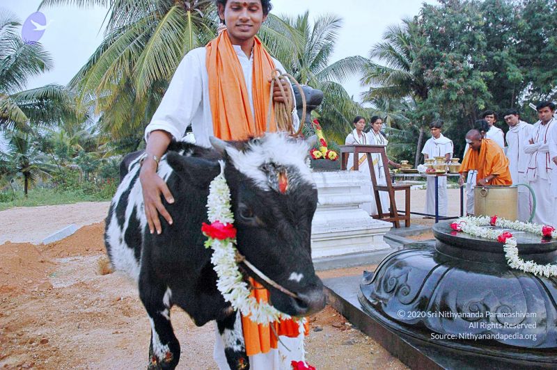 File:20071008 Photo 61 1MDYR0 4WzDWVUZR-rVgsKvXGxhL1iGC6.jpg