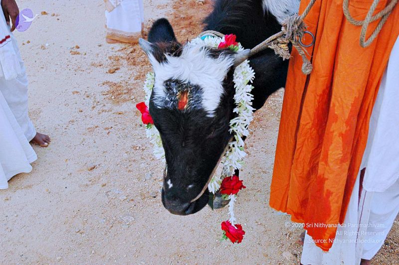 File:20071008 Photo 63 1q6kRo83BMhLR B6gm1Q72BLl98CU4a6i.jpg