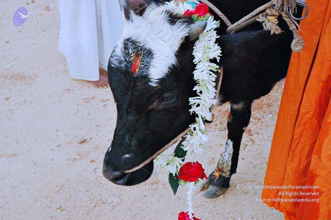 20071008 Photo 65 1XDygTVOWgQHE N8HjK8lgEjNM2OmLREU.jpg