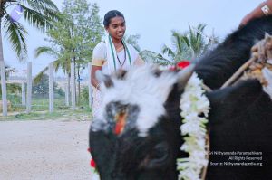 20071008 Photo 66 1tclRZse5GQwXo7knfYXLRvnYKtw4qb3I.jpg