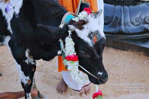 20071008 Photo 67 1aPWkjSQTTdgPysWCaVQZHj3uXJCY Ajr.jpg