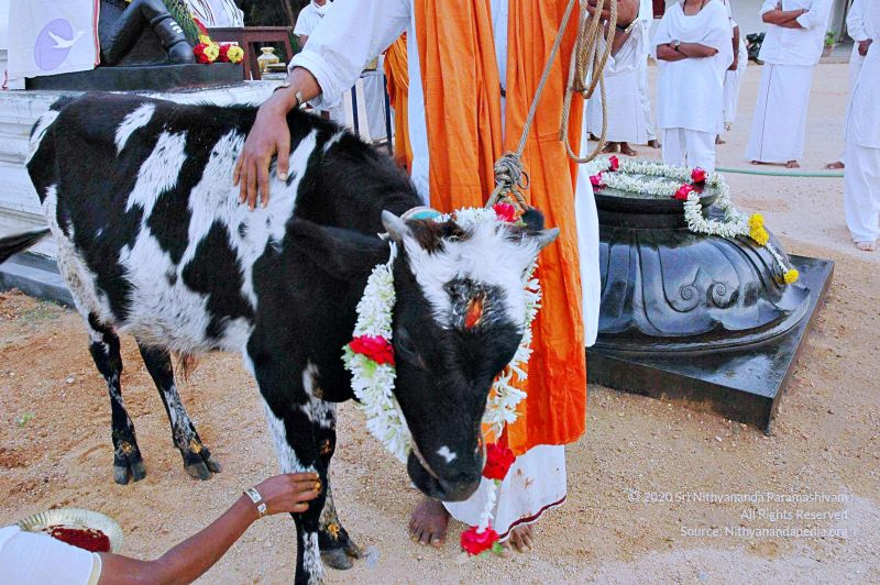 File:20071008 Photo 68 1JwS0GVmw xht5Vfx1pjhd9QCDMlGudS0.jpg