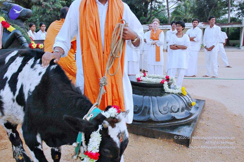 File:20071008 Photo 70 1GYUTlaaig9BO0X72L-vZMddET62lSacn.jpg