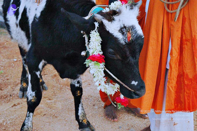 File:20071008 Photo 72 19TU6dFKSfHEZhJXTYJ9d3K-OsEQ nnKy.jpg