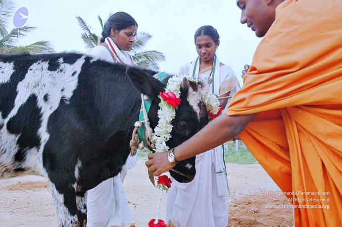 20071008 Photo 74 13qxisPdefFmPaEYivYC6oZ5PFWWQ7VSA.jpg