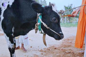 20071008 Photo 76 1AeJIc6TuqlbYbtprmHm ivlZMwbTIZ5d.jpg