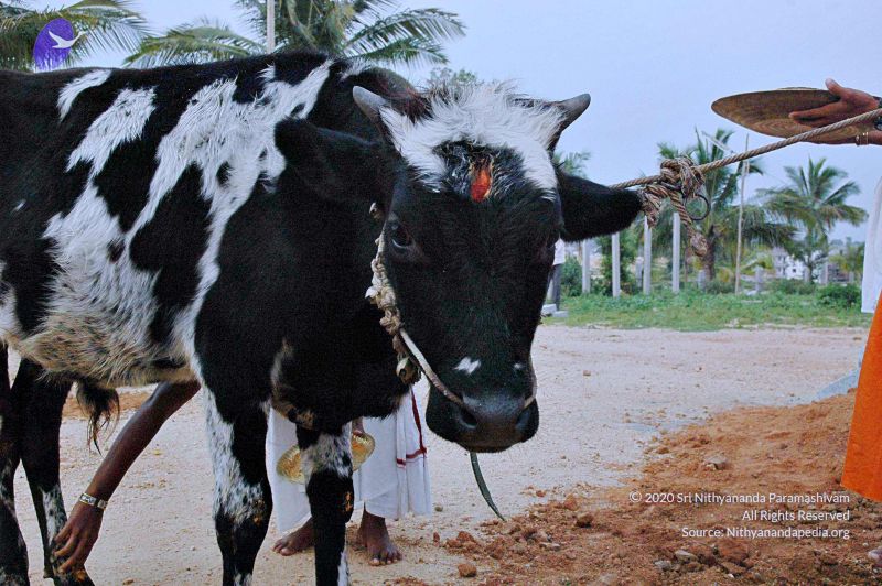 File:20071008 Photo 78 14JXpJsZP5AUAlnJS3PLDJUfk1rzY3rhi.jpg