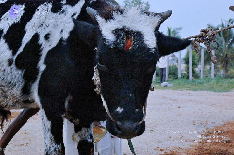 File:20071008 Photo 79 1if0I4Ay4cHw8CzrP7lMoOoZIbMb0ENvY.jpg