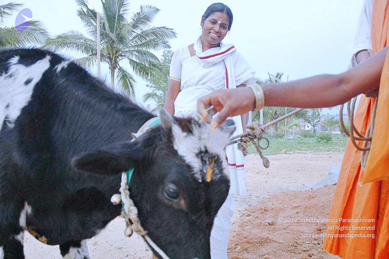 File:20071008 Photo 82 12oESL7rS8nu6AlQvV3MDC8Hvc-K4aF0M.jpg